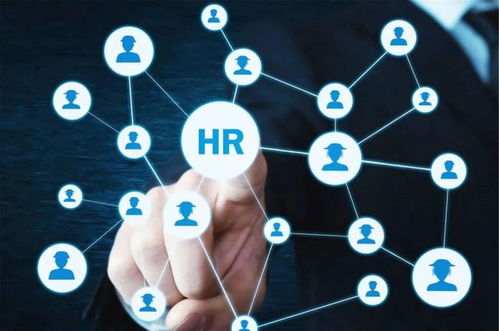 農(nóng)業(yè)“新農(nóng)人” 想做風(fēng)口上的“智能豬”，技術(shù)開(kāi)發(fā)能力不可少